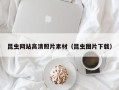 朝阳昆虫网站高清照片素材（昆虫图片下载）
